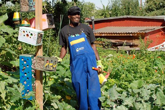 Zahlreiche Insektenhotels im Garten