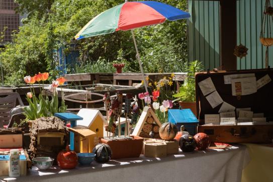 Angebote beim Tag der Offenen Tür